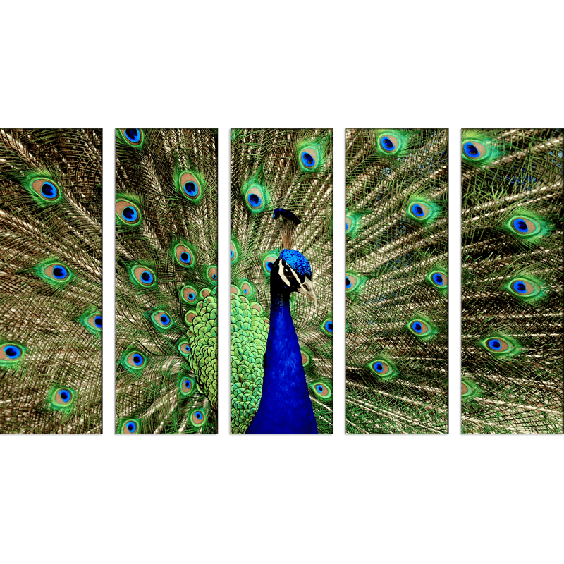 DECORGLANCE Panel painting Peacock Dancing Canvas Wall Painting- With 5 Frames