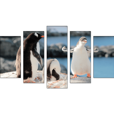 DECORGLANCE Panel painting Penguin Canvas Wall Painting- With 5 Frames