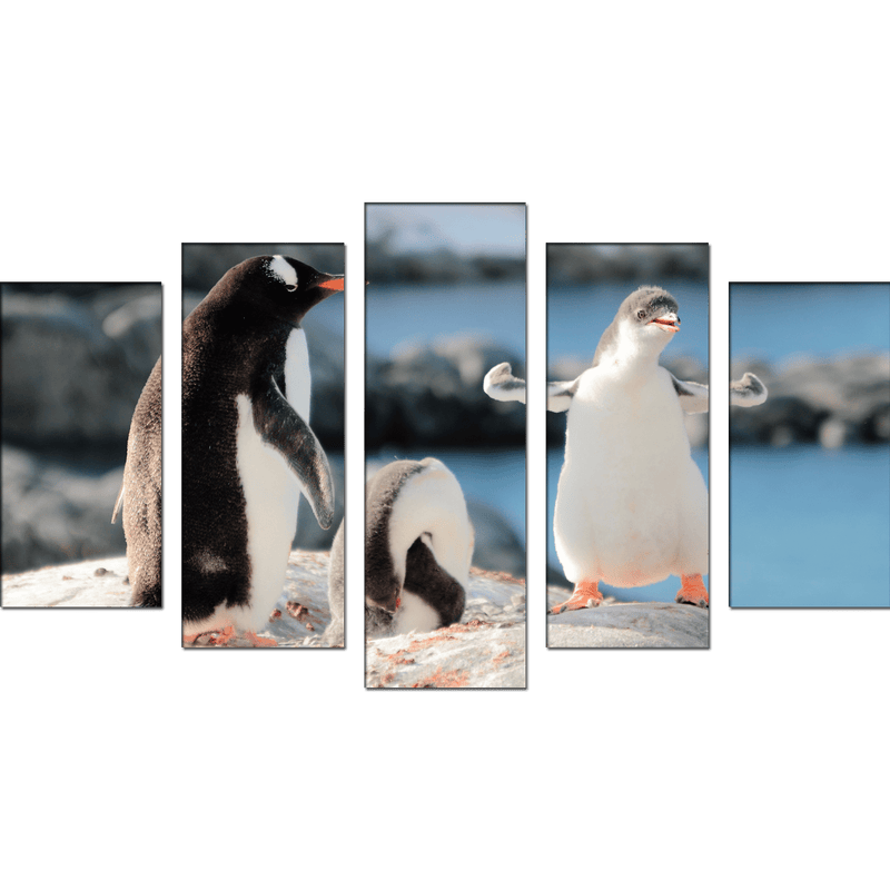 DECORGLANCE Panel painting Penguin Canvas Wall Painting- With 5 Frames