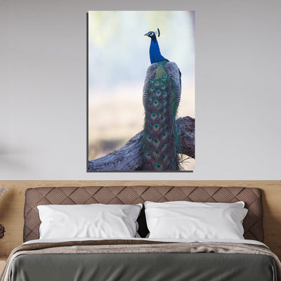 DecorGlance Peacock Print On Canvas Wall Painting