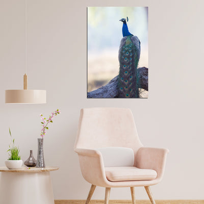 DecorGlance Peacock Print On Canvas Wall Painting