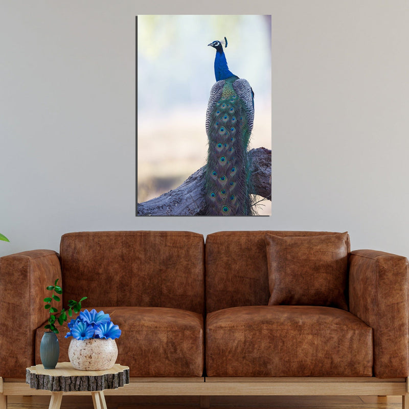 DecorGlance Peacock Print On Canvas Wall Painting