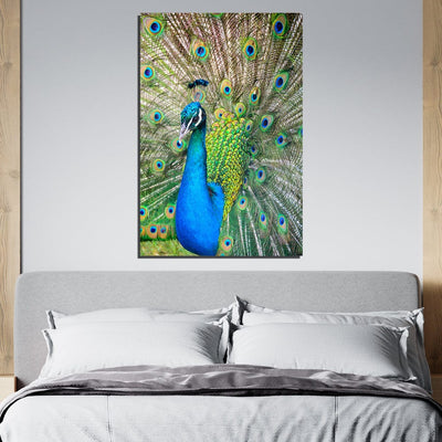 DecorGlance Peacock Print On Canvas Wall Painting