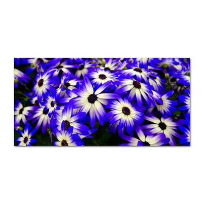 DecorGlance Pericallis Flower Canvas Wall Painting