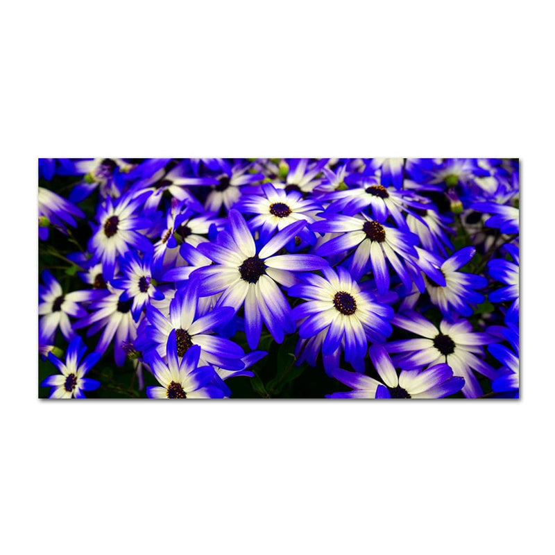 DecorGlance Pericallis Flower Canvas Wall Painting