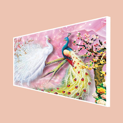 Beautiful white & Colored Peacock Canvas Floating Frame Wall Painting