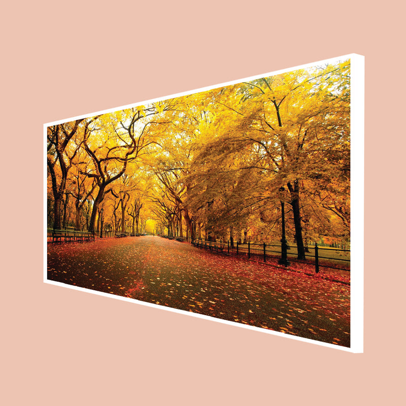 Beautiful Forest Canvas Floating Wall Painting