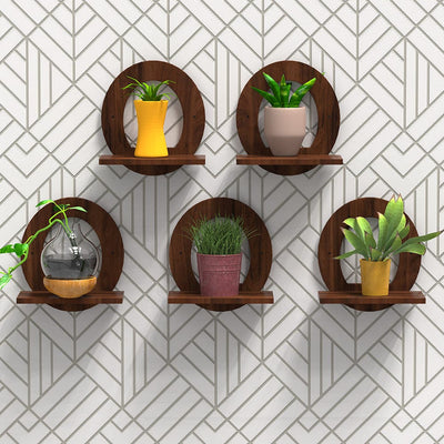 DecorGlance Plant Stands Oak Finish Wooden Oval Shaped Wall Hanging Planter Stand