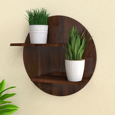 DecorGlance Plant Stands Walnut Finish Wooden Round Shaped Wall Hanging Planter Stand