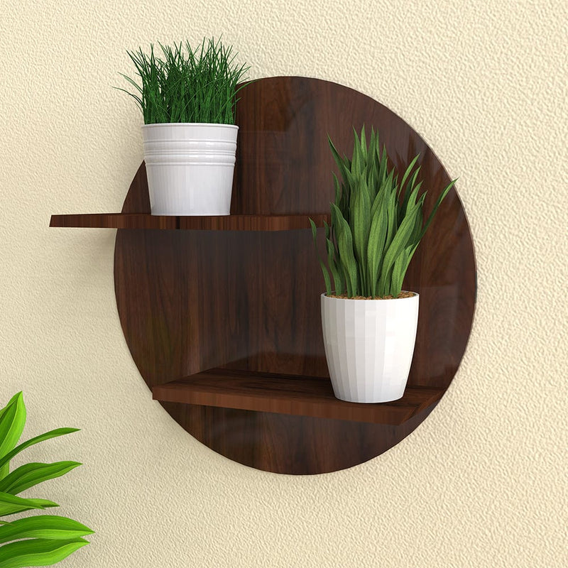 DecorGlance Plant Stands Walnut Finish Wooden Round Shaped Wall Hanging Planter Stand