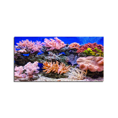 DecorGlance plants underwater On Canvas Print Wall Painting