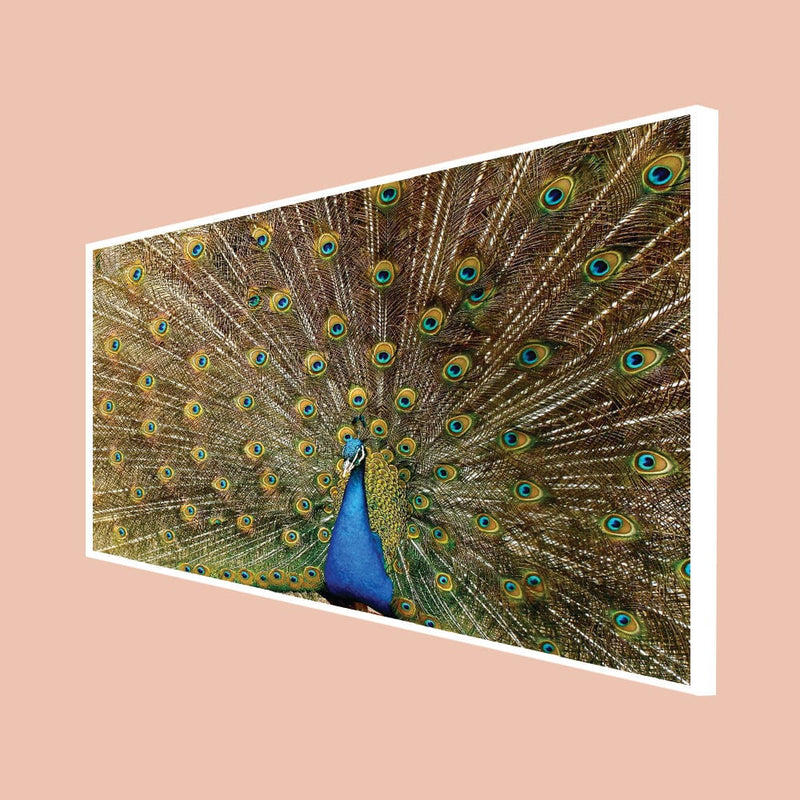 DecorGlance Posters, Prints, & Visual Artwork CANVAS PRINT WHITE FLOATING FRAME / (48X24) Inch / (121X60) Cm Peacock Dancing Abstract Canvas Floating Frame Wall Painting
