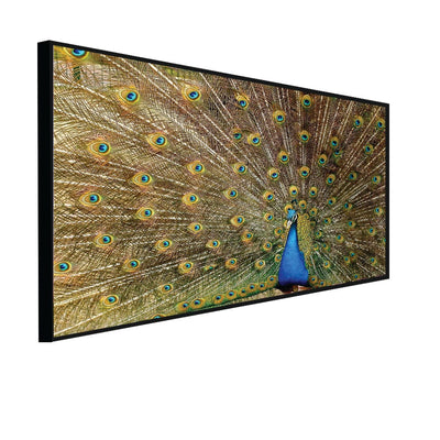 DecorGlance Posters, Prints, & Visual Artwork CANVAS PRINT BLACK FLOATING FRAME / (48X24) Inch / (121X60) Cm Peacock Dancing Abstract Canvas Floating Frame Wall Painting