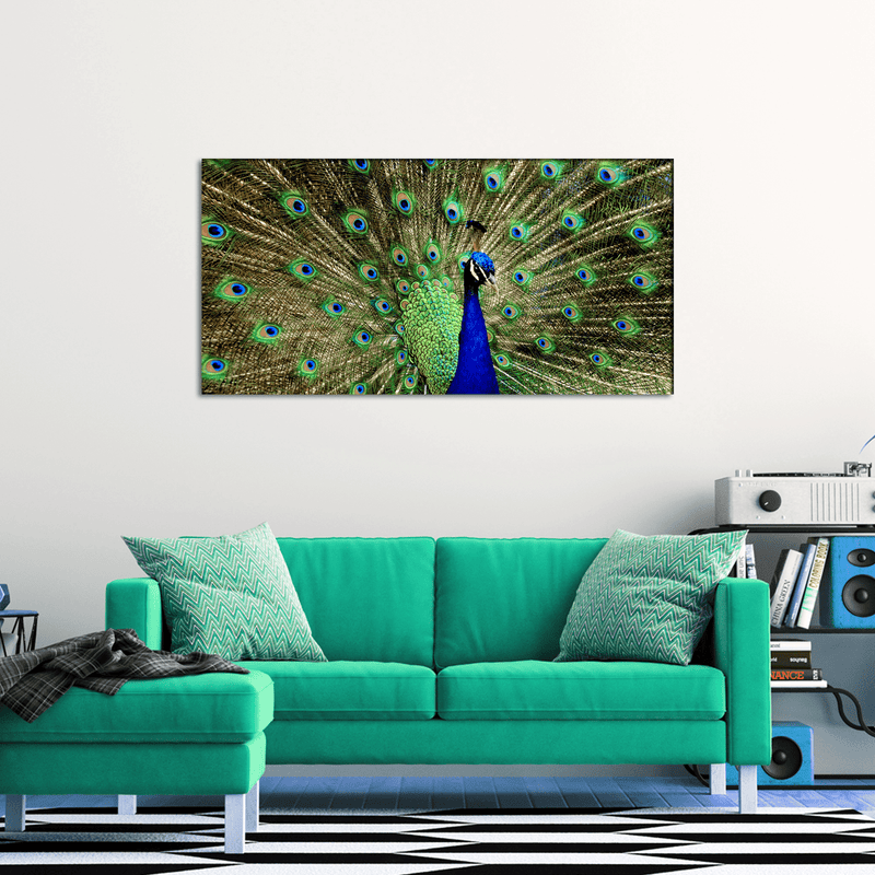 DECORGLANCE Posters, Prints, & Visual Artwork Peacock Dancing Canvas Wall Painting