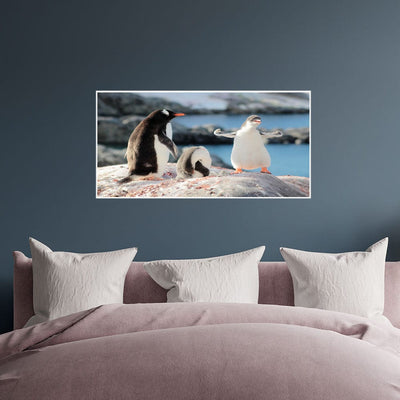DecorGlance Posters, Prints, & Visual Artwork Penguin Canvas Floating Frame Wall Painting