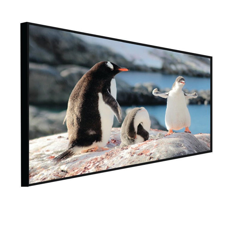DecorGlance Posters, Prints, & Visual Artwork CANVAS PRINT BLACK FLOATING FRAME / (48x24) Inch / (60 X 121) Cm Penguin Canvas Floating Frame Wall Painting