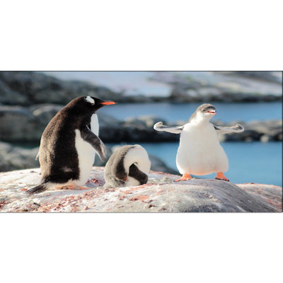 DECORGLANCE Posters, Prints, & Visual Artwork Penguins Canvas Wall Painting