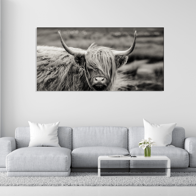 DecorGlance Rectangle painting Scottish Highland Cattle Animal Canvas Wall Painting