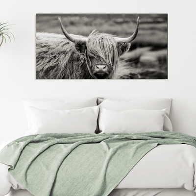 DecorGlance Rectangle painting Scottish Highland Cattle Animal Canvas Wall Painting