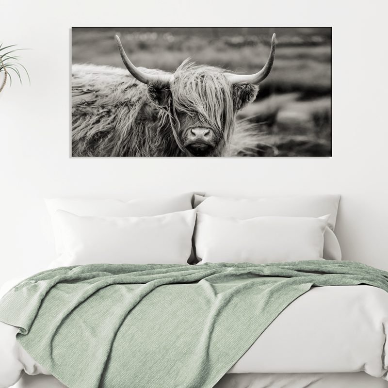 DecorGlance Rectangle painting Scottish Highland Cattle Animal Canvas Wall Painting