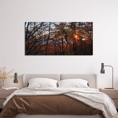 DecorGlance Rectangle painting Sunset View In Forest Canvas Wall Painting