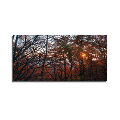 DecorGlance Rectangle painting Sunset View In Forest Canvas Wall Painting
