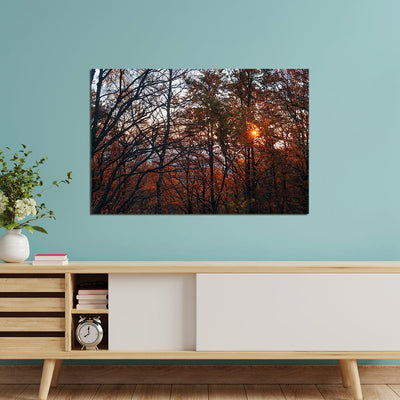 DecorGlance Rectangle painting Sunset View In Forest Canvas  Wall Painting