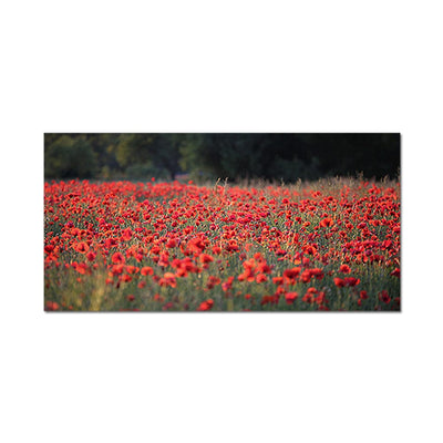 DecorGlance Red Common Poppy Flower Canvas Wall Painting