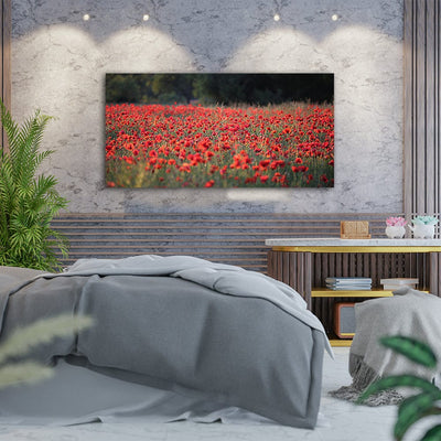 DecorGlance Red Common Poppy Flower Canvas Wall Painting