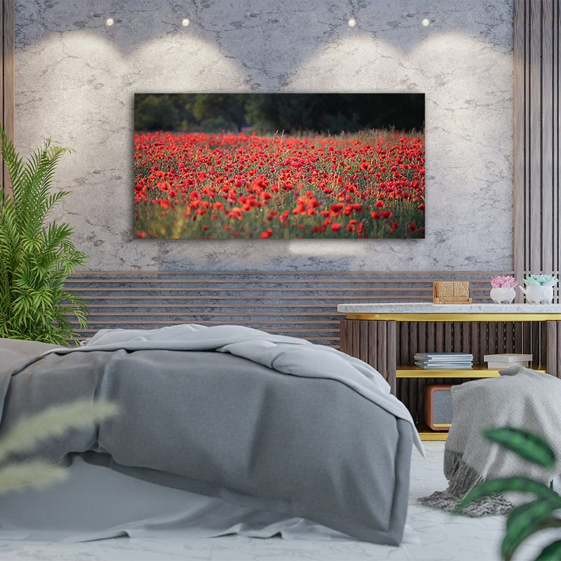 DecorGlance Red Common Poppy Flower Canvas Wall Painting
