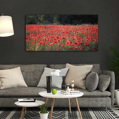 DecorGlance Red Common Poppy Flower Canvas Wall Painting
