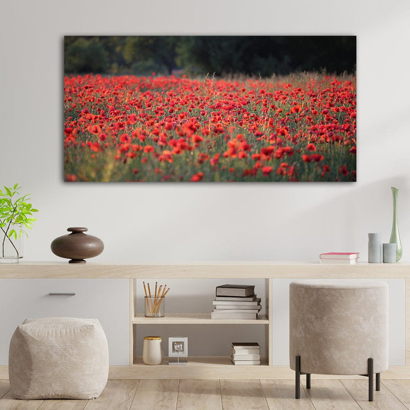 DecorGlance Red Common Poppy Flower Canvas Wall Painting