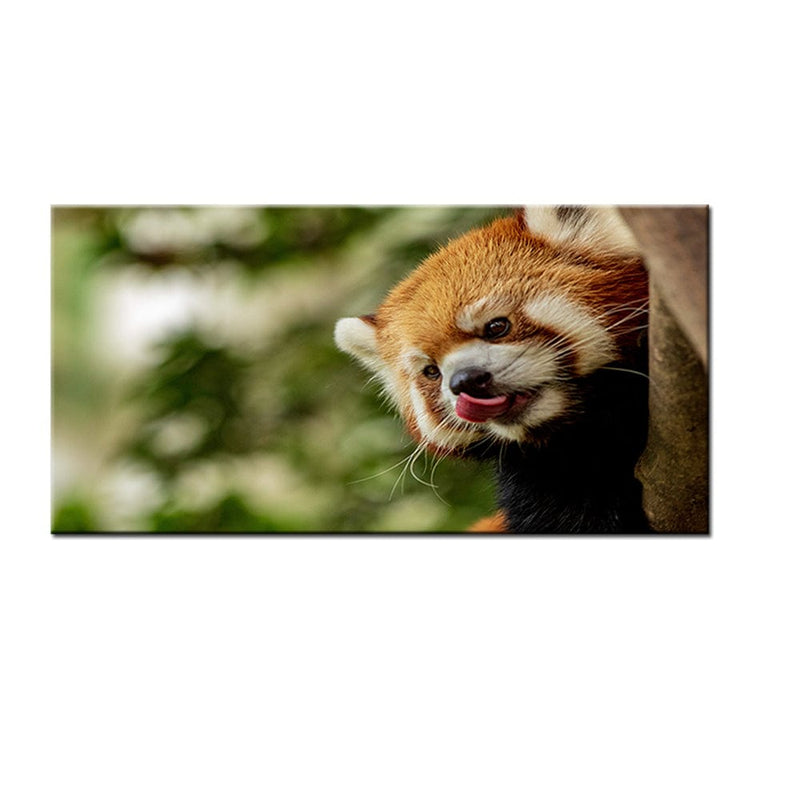 DecorGlance Red Panda Canvas Wall Painting