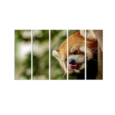 DecorGlance Red Panda Painting Canvas Wall Painting - With 5 Panel