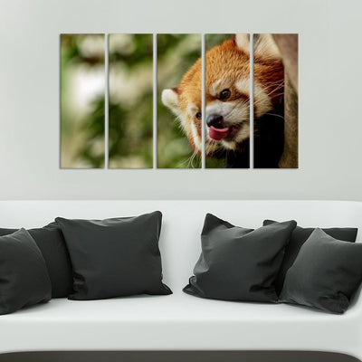 DecorGlance Red Panda Painting Canvas Wall Painting - With 5 Panel