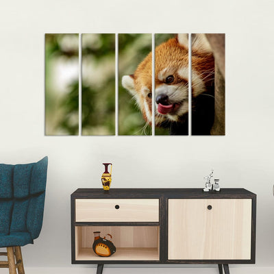 DecorGlance Red Panda Painting Canvas Wall Painting - With 5 Panel