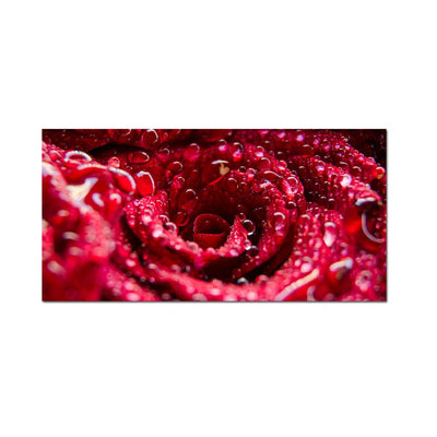 DecorGlance Red Rose Closeup With Water Drops Canvas Wall Painting