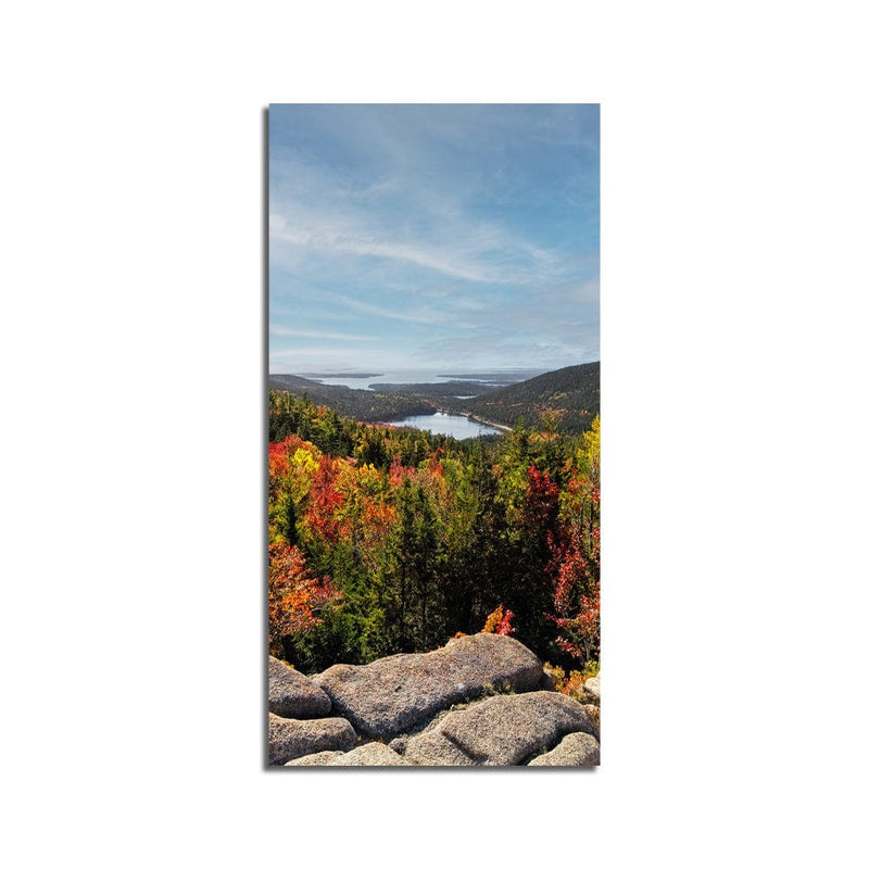 DecorGlance Shrubland View On Canvas Wall Painting