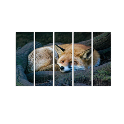 DecorGlance Sleeping Fox Canvas Wall Painting - With 5 Panel