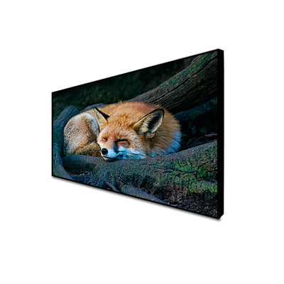 DecorGlance Sleeping Fox Floating Frame Canvas Wall Painting