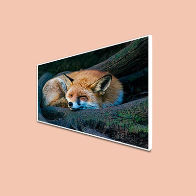 DecorGlance Sleeping Fox Floating Frame Canvas Wall Painting