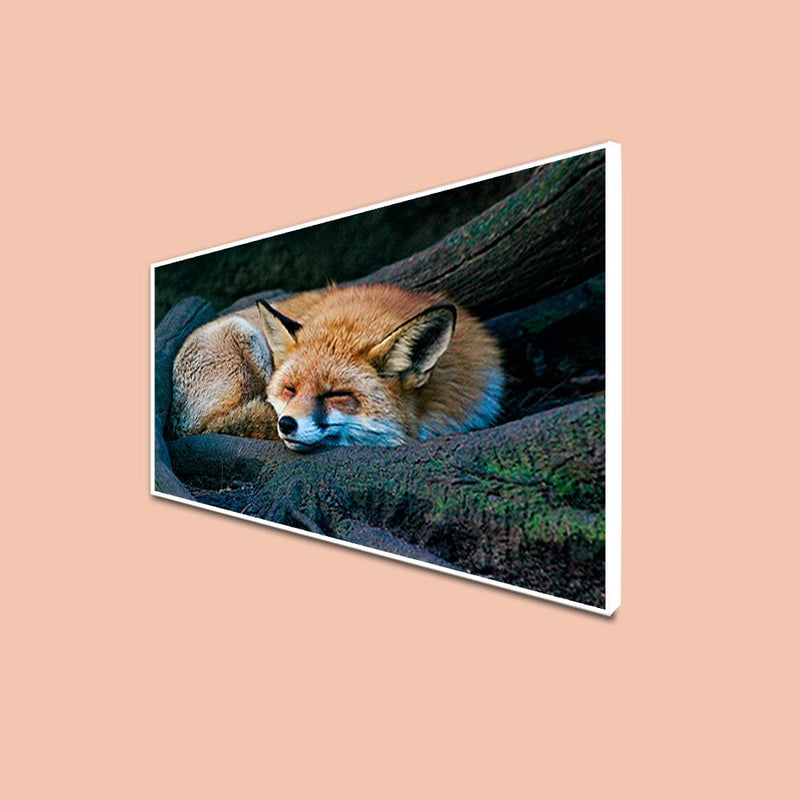 DecorGlance Sleeping Fox Floating Frame Canvas Wall Painting