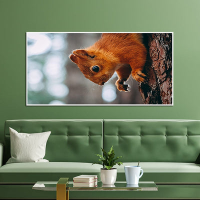 DecorGlance Squirrel Canvas Floating Frame Wall Painting
