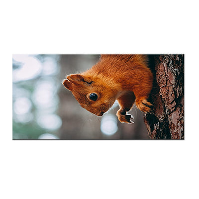 DecorGlance Squirrel Canvas Wall Painting