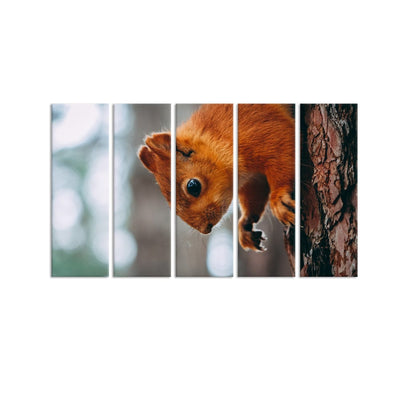 DecorGlance Squirrel Canvas Wall Painting - With 5 Panel
