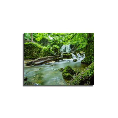 DecorGlance The Beauty of God's Creation Canvas Wall Painting