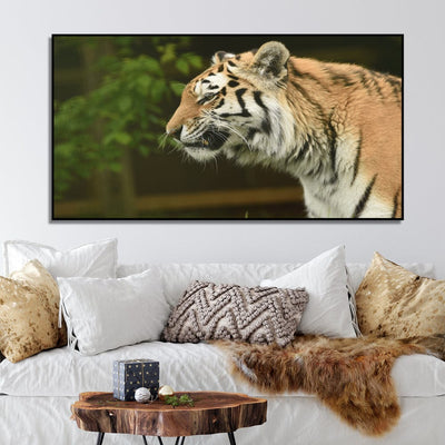 DecorGlance The Siberian Tiger Canvas Floating Frame Wall Painting