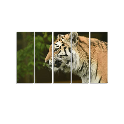 DecorGlance The Siberian Tiger Canvas Wall Painting - With 5 Panel