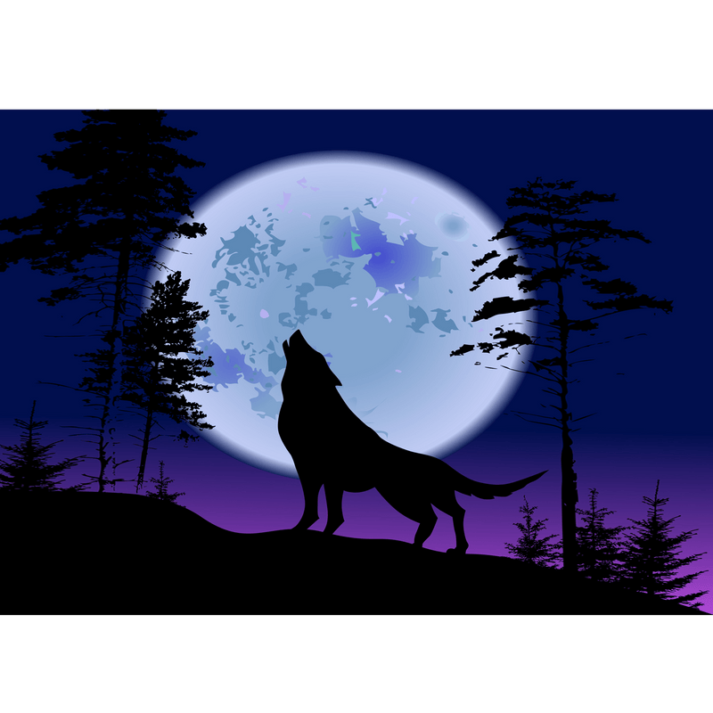 DECORGLANCE The Wolf Howls At The Night Digitally Painting Wallpaper