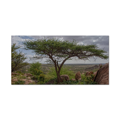 DecorGlance Tree Scenery Canvas Wall Painting